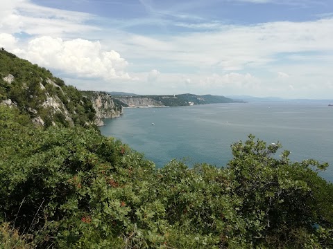 Collegio del Mondo Unito dell'Adriatico ONLUS