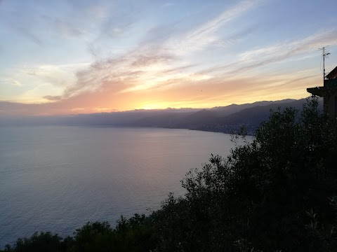 Passeggiata al Promontorio di Portofino