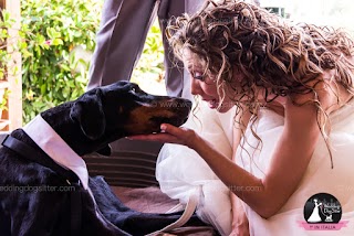 Wedding Dog Sitter ®