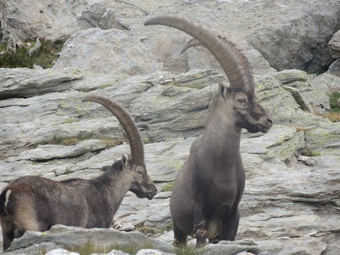 Rifugio Luigi Vaccarone