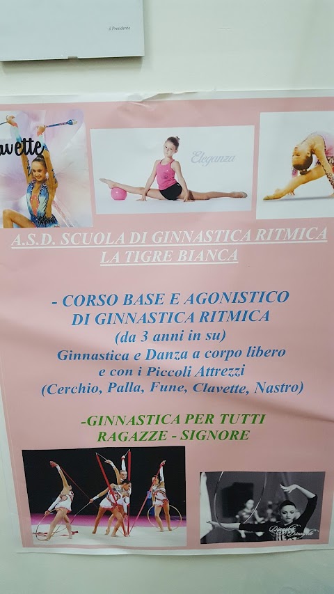 ASD SCUOLA DI GINNASTICA RITMICA LA TIGRE BIANCA