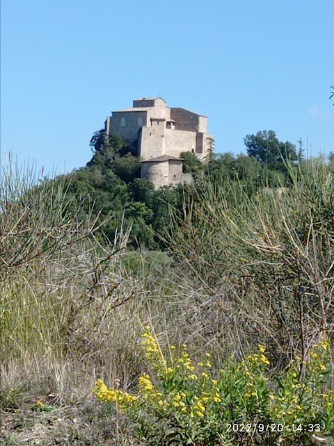 Il Melograno di Matilde