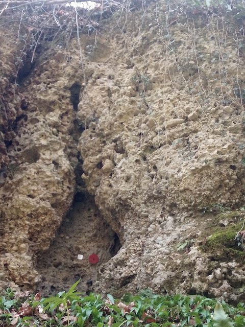 Buco Superiore di Bosco Brusa