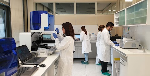 Biomolecular Diagnostic Srl