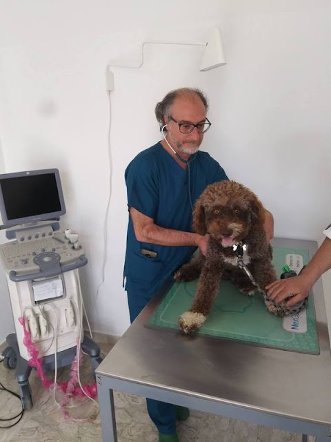 Ambulatorio Veterinario Vetland