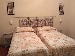 B&B Albicocco