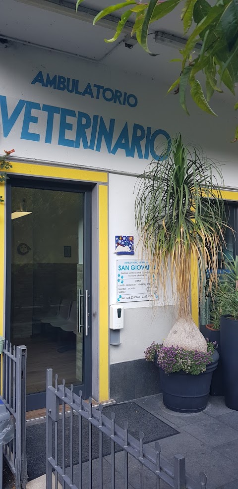 Ambulatorio veterinarioSan Giovanni in San Giovanni Bianco VISITE SOLO SU APPUNTAMENTO