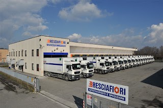 Bresciafiori Srl