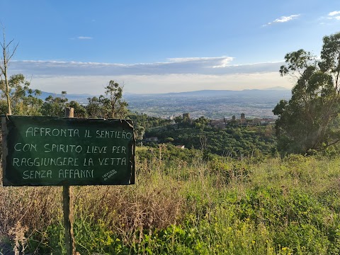 Monte Virgo