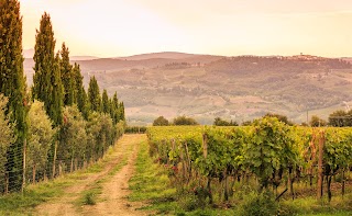 Cantina Castelvecchi