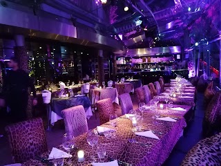 Just Cavalli Milano - Restaurant & Club