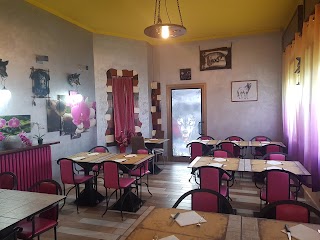 Trattoria Pizzeria Al Lupo