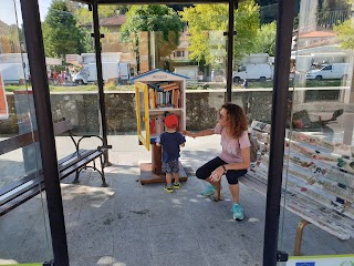 Little Free Library