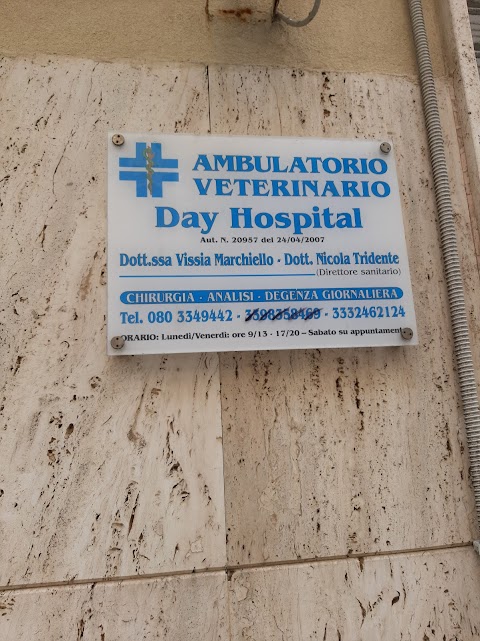 Ambulatorio Veterinario Day Hospital