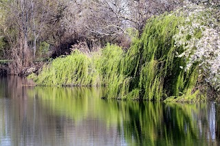 Parco San Lorenzo