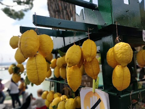 Banchetto Del Cocco