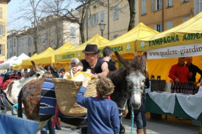 Mercato del contadino