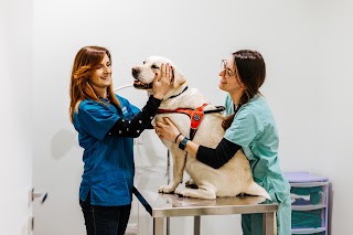 Clinica Veterinaria Borgomanero CVB - Dr. Salvatore Di Graci