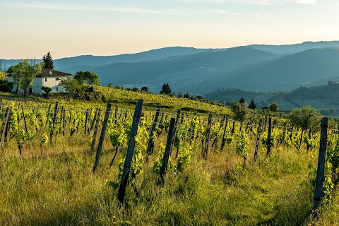 Fattoria Lavacchio AgriResort