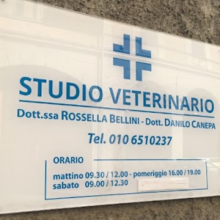 Studio Veterinario Dott.ssa Bellini Rossella