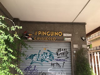 Il Pinguino Lavasecco