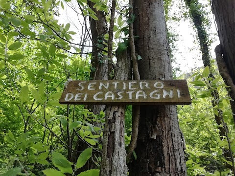 Bosco di San Vito - Monte Tifata