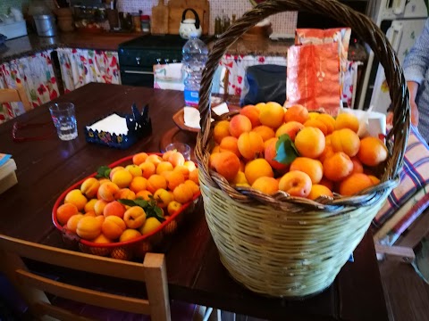 Ristorante Olympia - Pizzeria - Ricevimenti Di Pepe Margherita