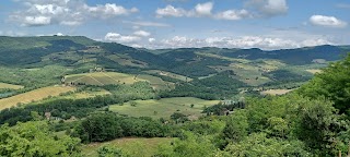 Le Forchette del Chianti