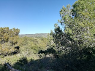 Riserva naturale orientata Pino d'Aleppo