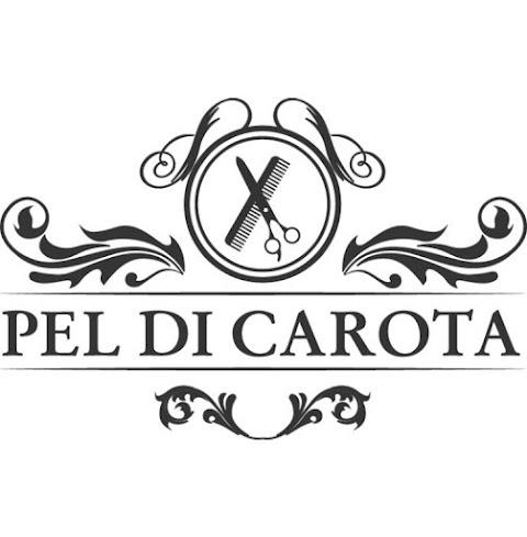 Salone Pel Di Carota