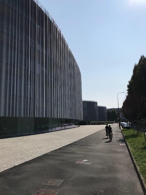 Università Bocconi