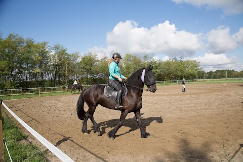 Passeggiate a Cavallo in provincia di Milano - Scuderia Esposito