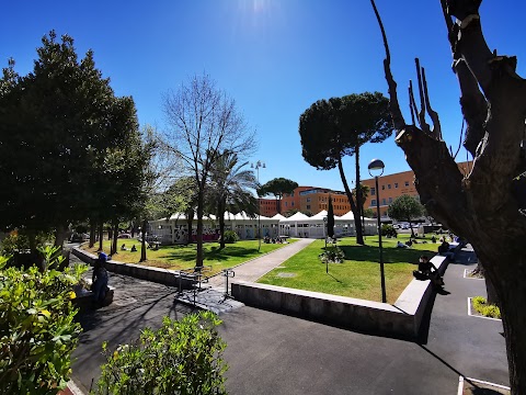 Sapienza Università di Roma