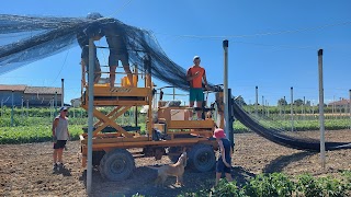 Vendita Diretta Ortofrutta Buscaroli