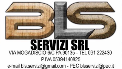 BLS SERVIZI S.r.l. impresa edile