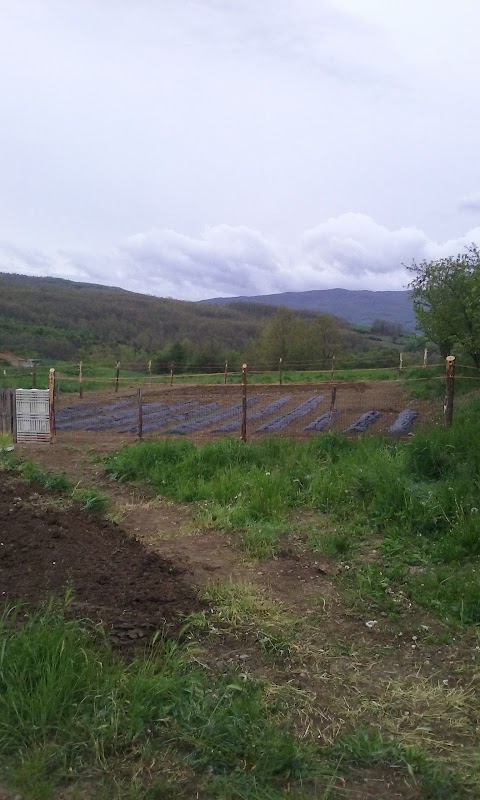 Nabucco Azienda Agricola