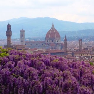 A daydream in Florence