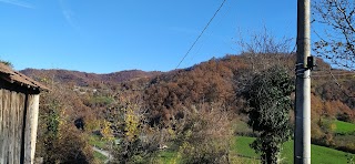 Fattoria Fiori Di Fiori Pierpaolo