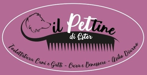 Il Pettine di Ester