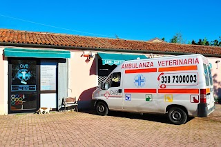 Clinica Veterinaria Dott. Bevilacqua - Ambulanza 24h