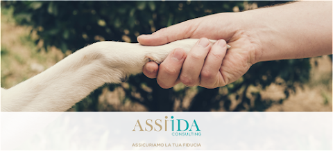 Assiida Consulting