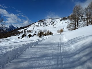 Sci Nordico Di Manzon Paola Maria