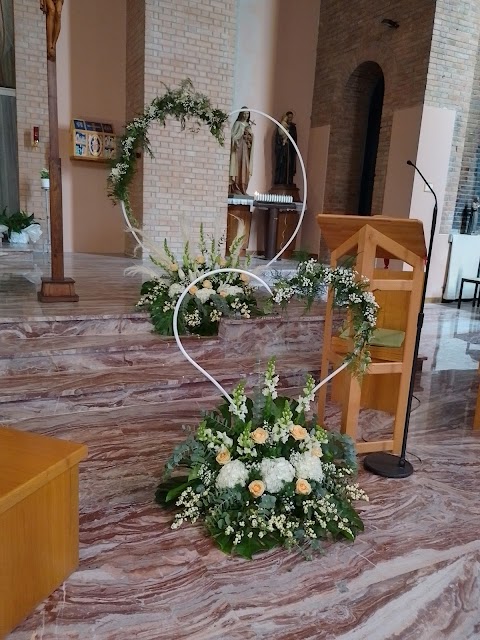 Momenti Piante & Fiori a Carpi di Frateschi Paola