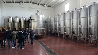 Cantine Cifarelli