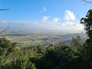 Monte Roncali