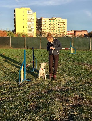 Dog School Di Ennio Ugliarolo