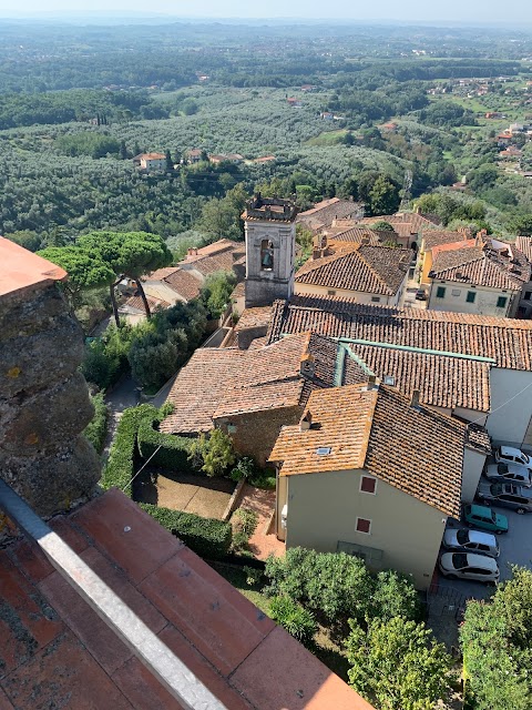 Olio di Oliva Toscana - Bardelli