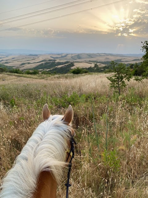 Maneggio RidingTuscany