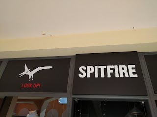 Spitfire Centro S.R.L.