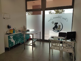 Clinica Veterinaria Senese